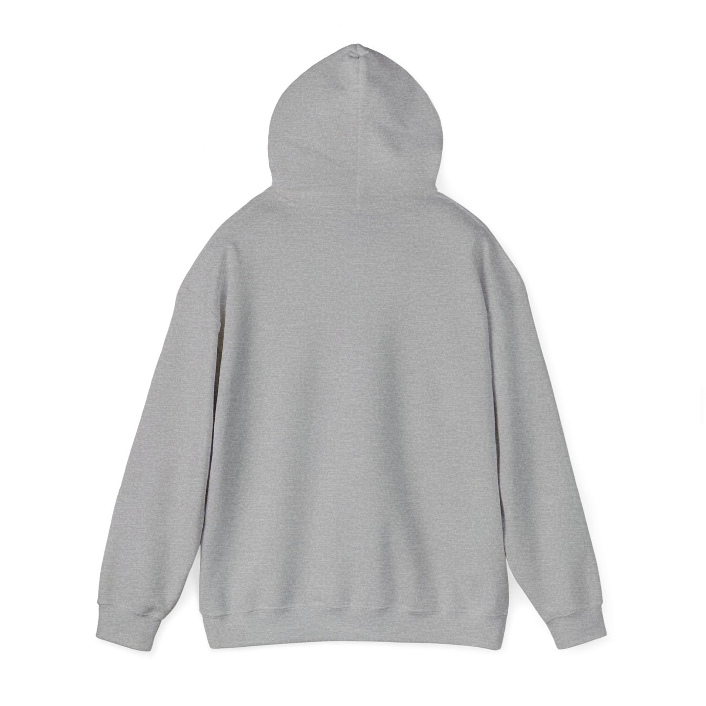 Music Player Hooded Sweatshirt