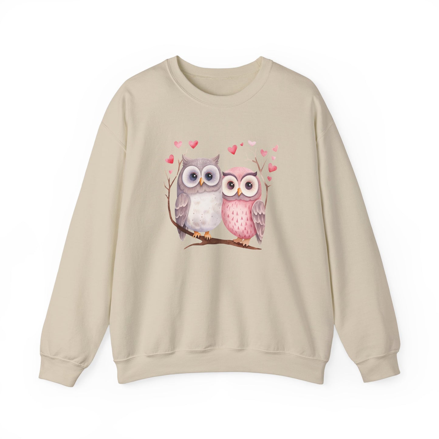 Cute Owls Sweatshirt